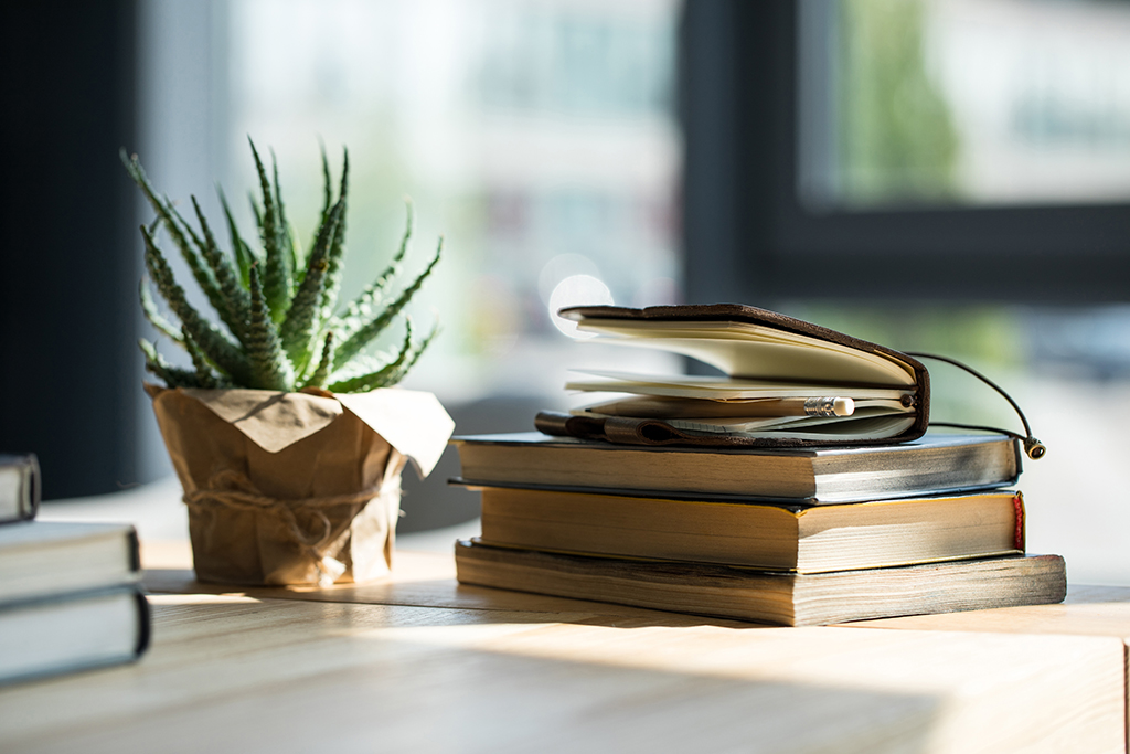School Readiness & Career Assessments